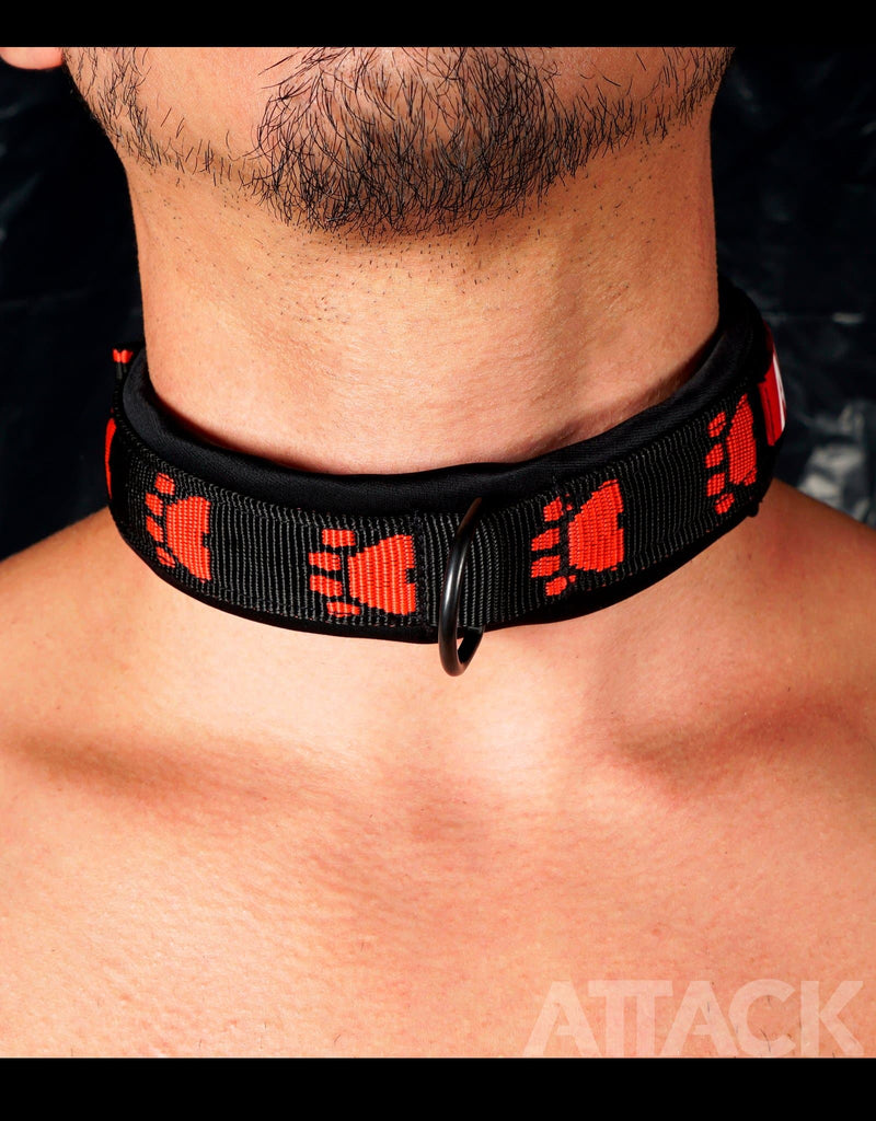 WS PUPPY COLLAR