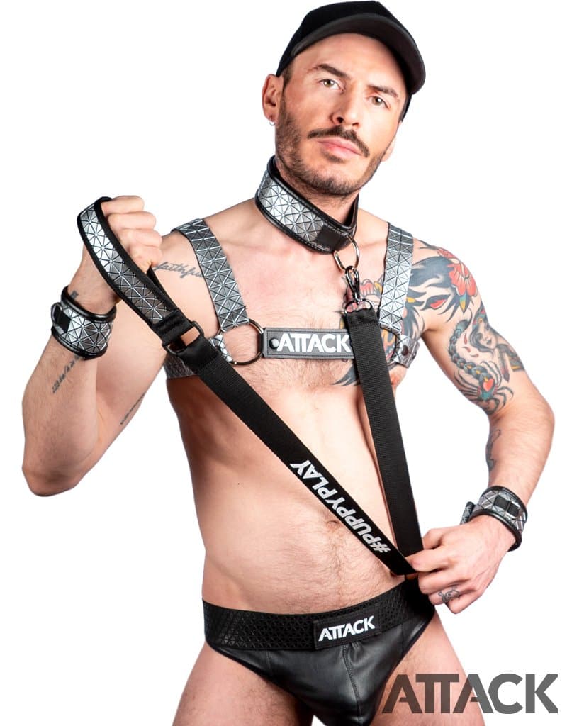 DOG COLLAR AND LEASH > SILVER SPIKES